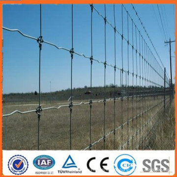 China ouro fabricante fornece ligeiramente ou completamente Grassland Dobradiça Galvanizado Field Fence (preço de fábrica) (certificação ISO)